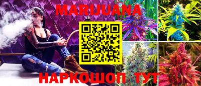 трава Новокубанск
