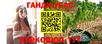 крисы Нальчик
