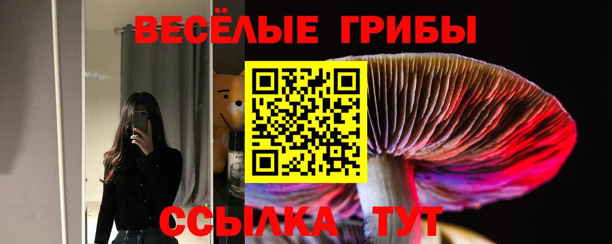 Псилоцибиновые грибы MAGIC MUSHROOMS Чапаевск